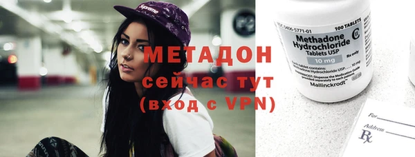 ПСИЛОЦИБИНОВЫЕ ГРИБЫ Бикин