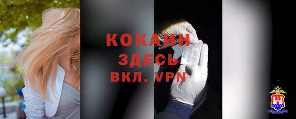 ПСИЛОЦИБИНОВЫЕ ГРИБЫ Бикин