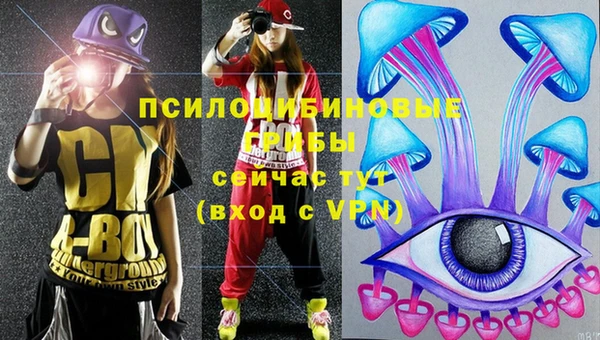 бошки Нефтегорск