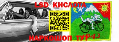 мдма Гусев