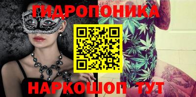 индика Апшеронск