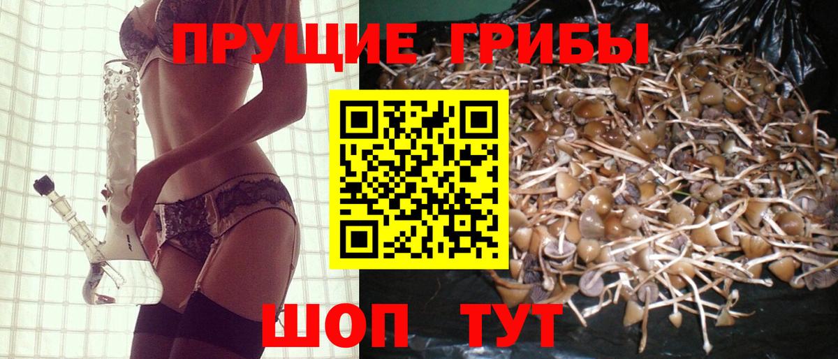 Галлюциногенные грибы Cubensis  Вход с VPN  Псилоцибиновые грибы Psilocybine cubensis  Мыски 