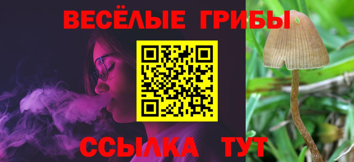 Галлюциногенные грибы Cubensis Мыски